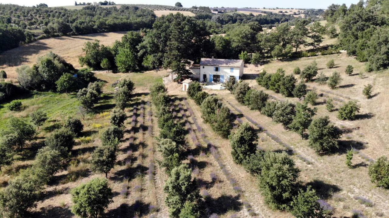 Maison D'Hotes Du Grand Chene Valensole Exterior foto